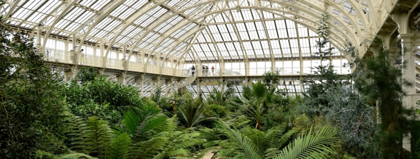 Kew Garden
